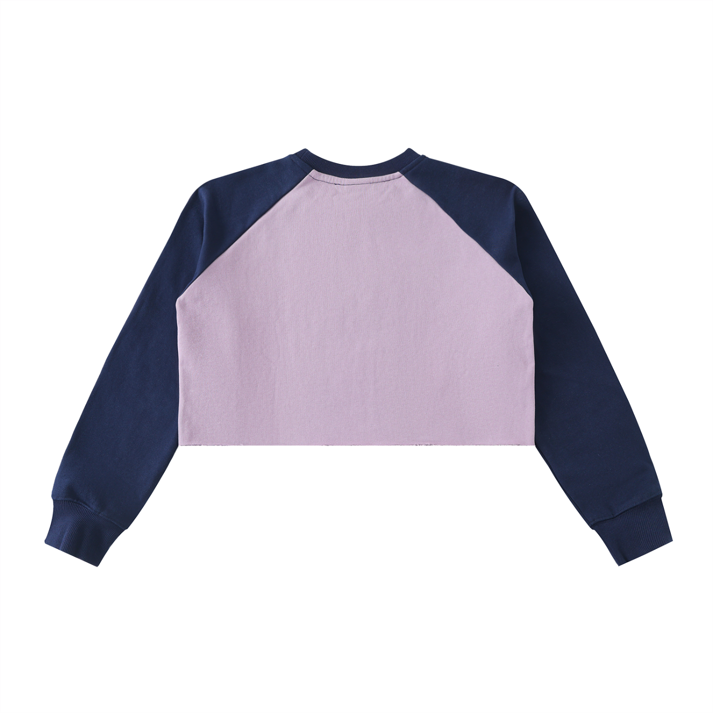 Tap Stitch POD,WOMENS,WHOLESALE EXCLUDED,Sweatshirt,NEW,Limited Edition,Longsleeve