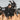 Motorcycle rider in black leather jacket.